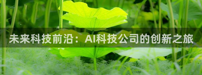未来科技前沿：AI科技公司的创新之旅