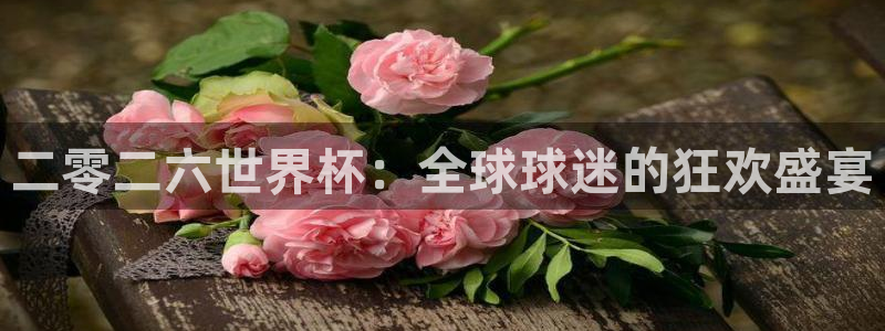 二零二六世界杯：全球球迷的狂欢盛宴