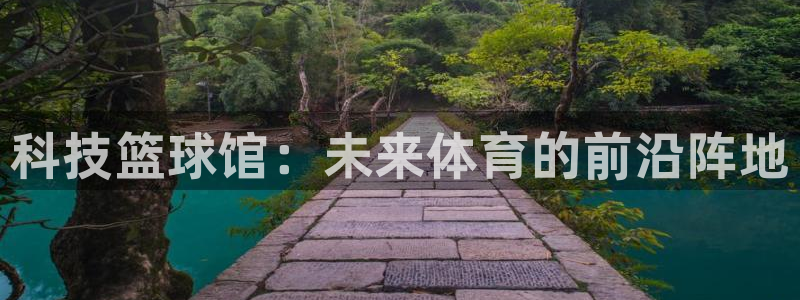 科技篮球馆：未来体育的前沿阵地