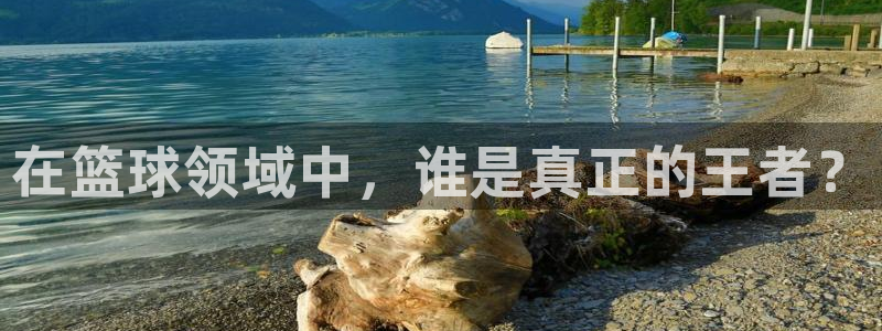 在篮球领域中，谁是真正的王者？