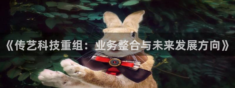 《传艺科技重组：业务整合与未来发展方向》